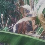 Musajohn Busiga - @musajohnbusiga - Instagram