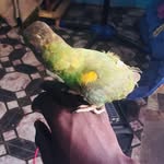 Musa Mbye - @musa51663 - Instagram