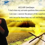 musab hussein - @musabhussein6941 - Instagram
