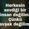 Mustafa Akyol - @mustafaakyol27 - TikTok