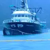 Mustafa Arikan - @mustafa.arikan14 - TikTok