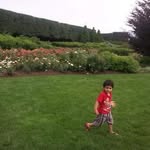 Mustafa Arshad - @mustafaarshad224 - Instagram