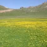 Mustafa Atıcı - @atici7094 - Instagram