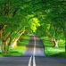 Mustafa Ayad - Facebook