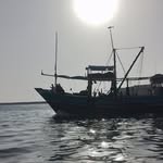MustafA AzeeM MirzA - @mustafazeemirza - Instagram