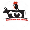 Aseel Birds And Animals - @mustafabaig73 - TikTok