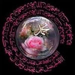 Mustafa Choukri - @mustafachoukri - Instagram