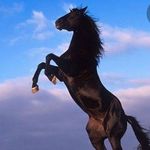 mutlu kaplan - @kaplanmutlu69 - Instagram