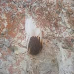 Mutlu Kaplan - @mutlu.kaplan.3954 - Instagram