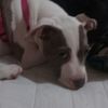 Mya Beasley - @myabeasley3 - TikTok