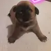 Mya Black - @mya.black - TikTok