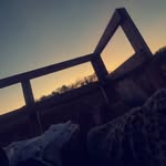 Mya - @mya.collierr - Instagram