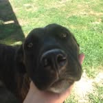 mya cross - @myaacross - Instagram