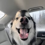 Mya Cross - @squishy.racc00n - Instagram