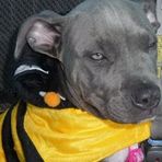 Mya Dobbs - Facebook