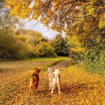 hunter / mya - @_hunter_mya - Instagram