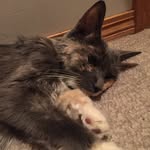 myakochie12 - @myakochie12 - Instagram
