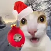 Myakochka - @myakochka - TikTok