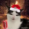 MyakochkaYT - @myakochka1 - TikTok
