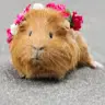 Mya Marquez - @myamarquez6 - TikTok