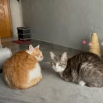 Melvin & Mya - @melvin.e.mya - Instagram