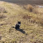 mya melvin - @melvinmya - Instagram