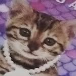 myapace - @myapace99 - Instagram