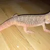 myapearson51 - @myapearson51 - TikTok