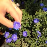 Mya Pham - @dungpt3086 - Instagram