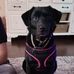 Mya Pitts - Facebook