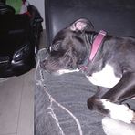 Mya Pratt - Facebook