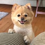 Mya Pratt - @myabearpratt - Instagram