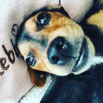 Mya - @mya_princesse - Instagram