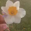 Mya Prince 543 - @moya.thepersin - TikTok