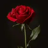 ❤️Mya_Ramirez❤️ - @myaramirez222 - TikTok