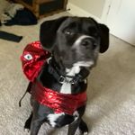 Mya Roberson - @myaroberson4 - Instagram