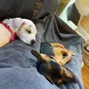 Adventures of Mya & Lola - @myaroy - TikTok