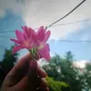 Maya Roy - @maya.roy4 - TikTok