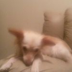 Ja'Mya Tompkins - @jamyatompkins - Instagram