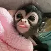 myah_yk.2 - @tamyahwalker - TikTok
