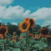 Myat MyatWin🏳️‍🌈Lgbt - @myat.myatwin - TikTok