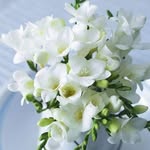 Myat Su Win - @myat.win26 - Instagram