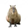 Myath Win - @myathwin - TikTok
