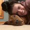 BaileysGoldens - @baileymychal3 - TikTok