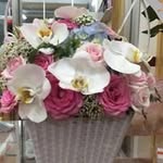 Mydung Le - @mydung2563 - Instagram