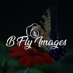 Myisha (Buttafly) Davis - @bfly_images - Instagram