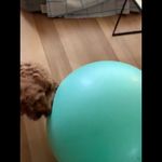 Myla Brown - @mylab8996 - Instagram