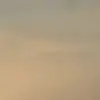 mylabrown_99 - @mylabrown_99 - TikTok