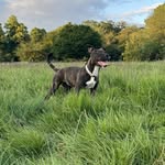 Myla moo wright - @mylas_journeys - Instagram