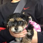 Myla Wright - @myla_1400 - Instagram
